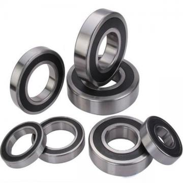 100 mm x 125 mm x 25 mm  NSK RSF-4820E4 cylindrical roller bearings