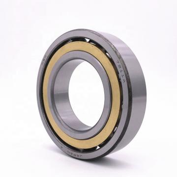 100 mm x 125 mm x 25 mm  NSK RSF-4820E4 cylindrical roller bearings